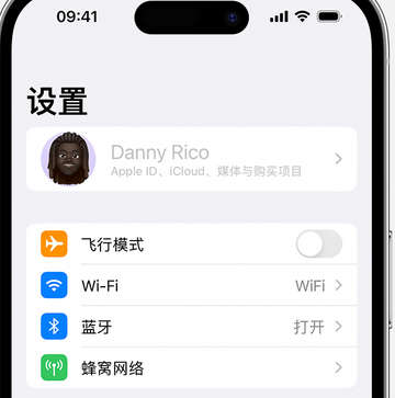 柏乡appleID维修服务iPhone设置中Apple ID显示为灰色无法使用 