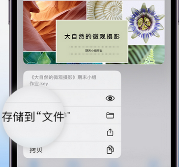 柏乡apple维修中心分享iPhone文件应用中存储和找到下载文件