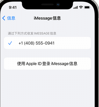 柏乡apple维修iPhone上无法正常发送iMessage信息 