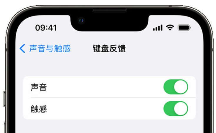 柏乡苹果手机维修分享iPhone 14触感键盘使用方法 