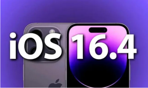 柏乡苹果14维修分享：iPhone14可以升级iOS16.4beta2吗？ 