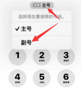 柏乡苹果14维修店分享iPhone 14 Pro Max使用副卡打电话的方法 