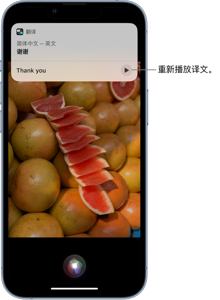 柏乡苹果14维修分享 iPhone 14 机型中使用 Siri：了解 Siri 能帮你做什么 