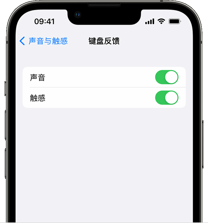 柏乡苹果14维修分享iPhone 14 系列机型如何开启键盘声音或触感反馈 