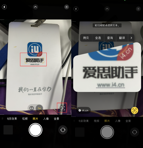 柏乡苹果手机维修分享升级iOS 16后如何通过相机翻译文本 
