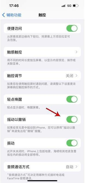 柏乡苹果手机维修分享iPhone手机如何设置摇一摇删除文字 