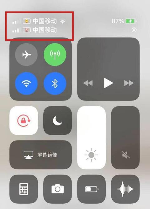 柏乡苹果手机维修分享为 iPhone 12 双卡设置标签 